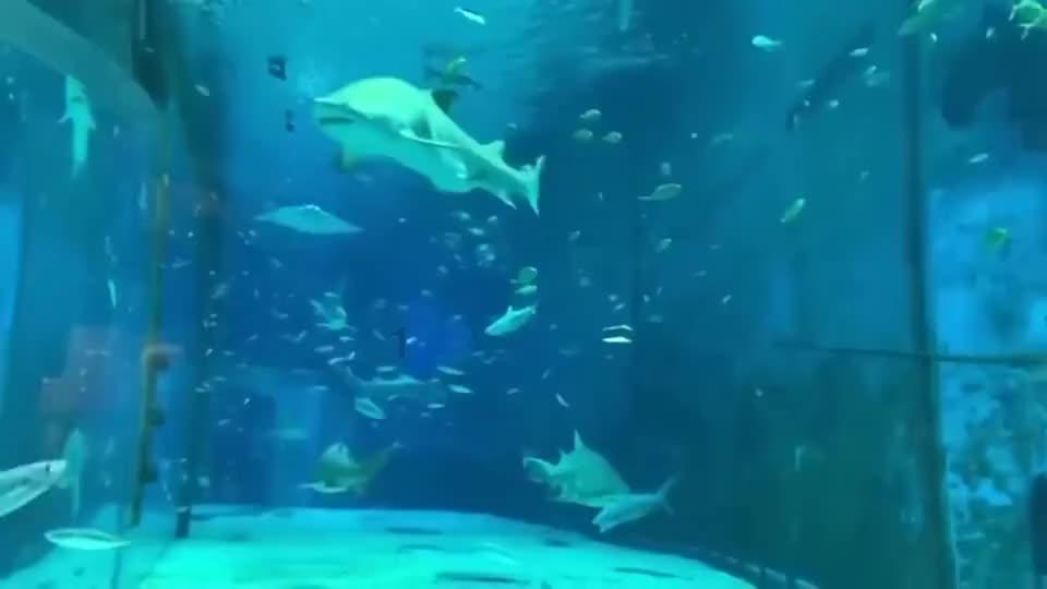看楼盘风水应该注意哪些?